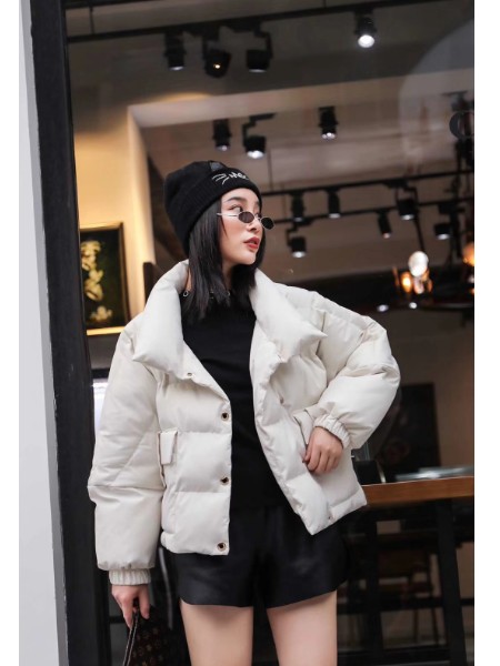 （色彩一秀）时尚女装品牌女装品牌2019秋冬新品