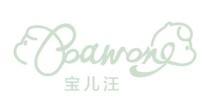 宝儿汪